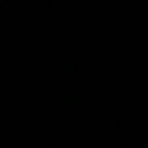 Meet your Posher, Em